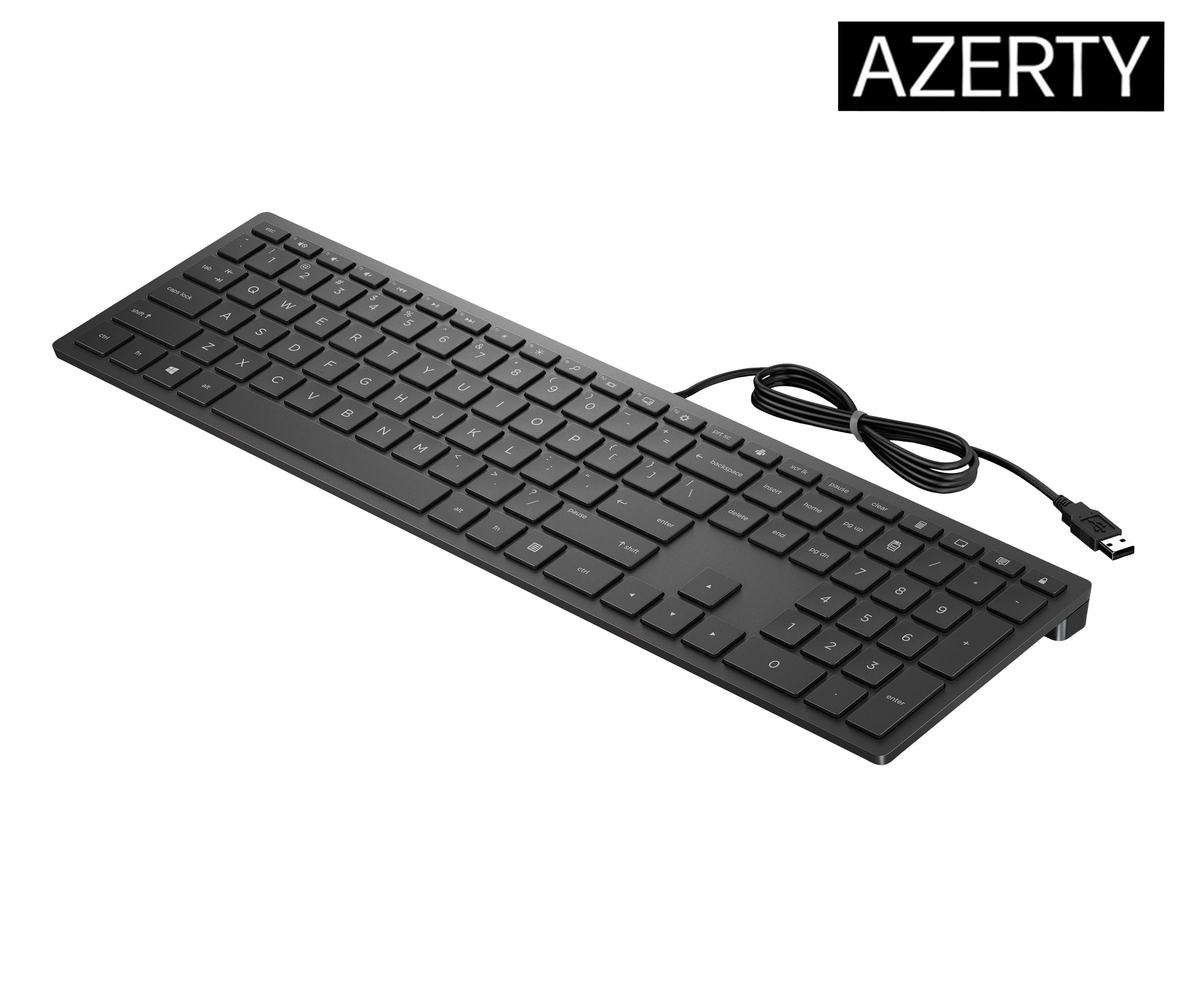 HP PAV Wired Keyboard 300 – Tastatur – Mechanisch – Kabelgebunden, USB – Schwarz
