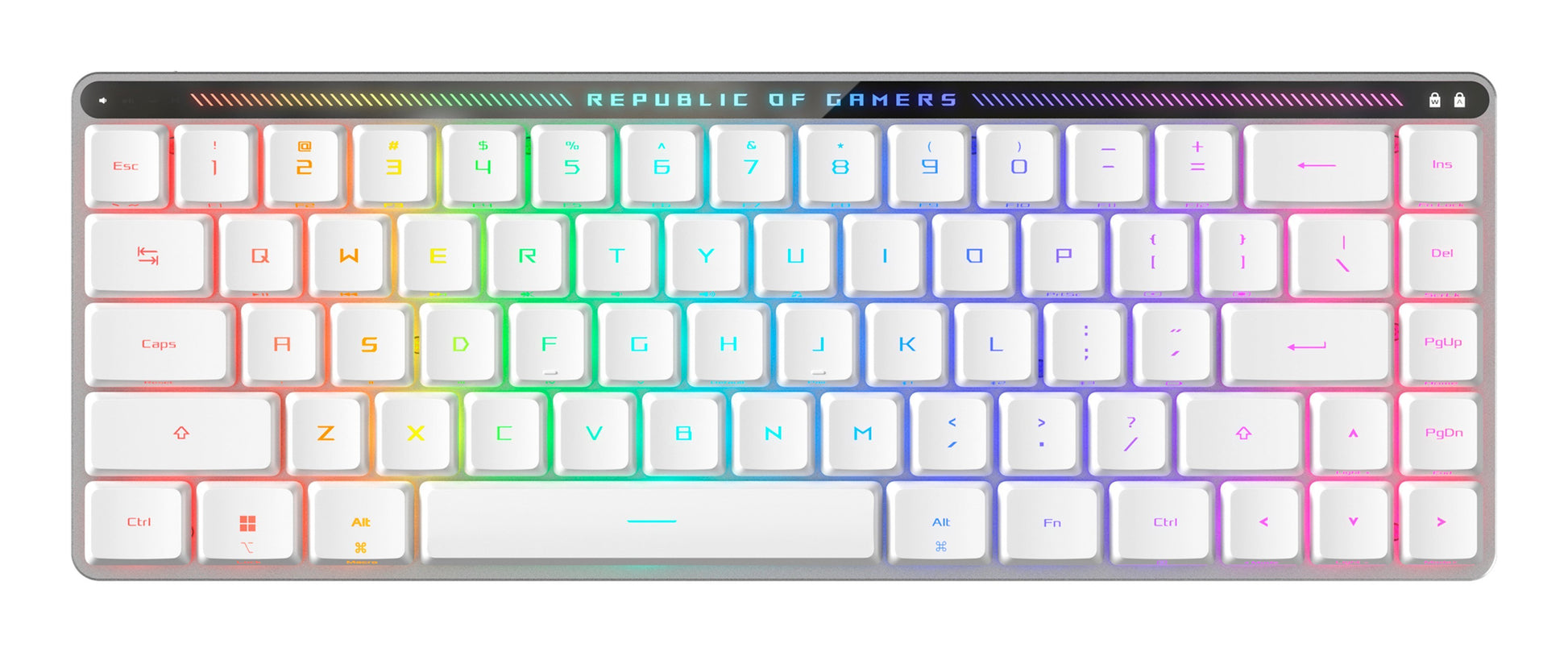 ASUS ROG Falchion RX – Gaming-Tastatur 65% – Mechanisch, RGB – Bluetooth & 2,4 GHz USB-A (Empfänger) – Weiss
