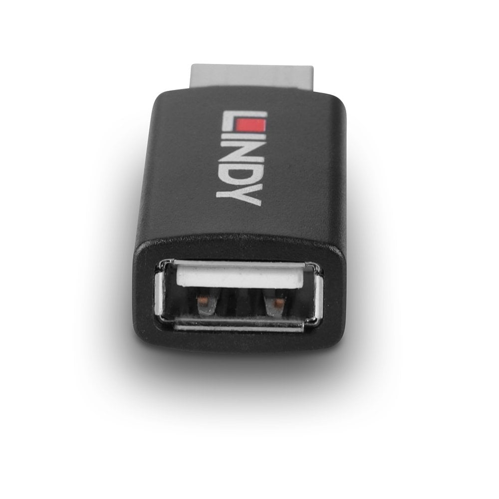 Lindy USB-A auf USB-A Adapter, USB 2.0, Data Blocker
