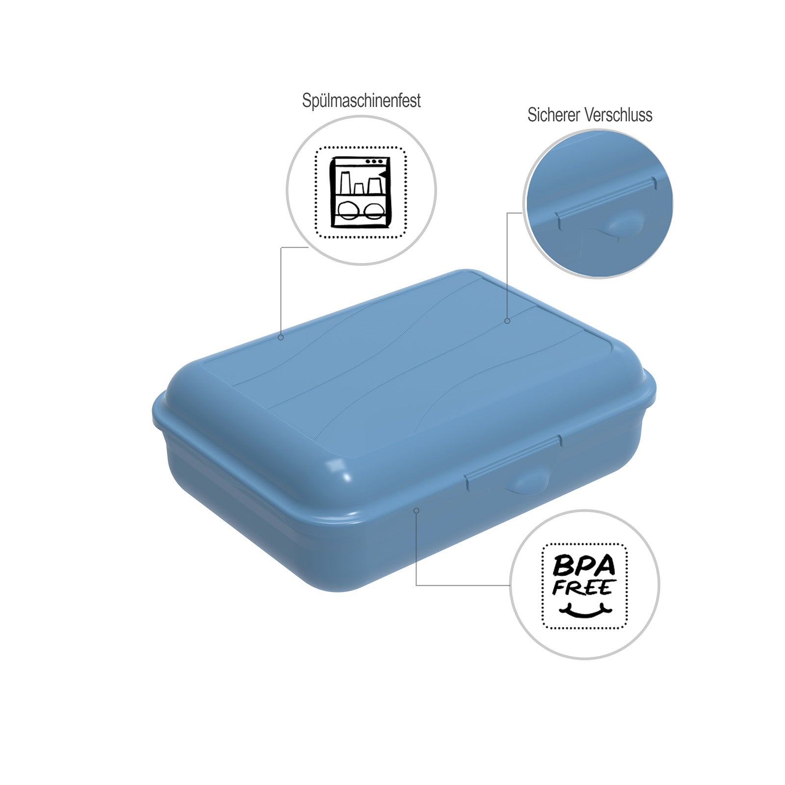 Rotho Lunchbox 1,3 l, 19,5 × 14,5 × 6,5 cm, Polypropylen (PP), blau