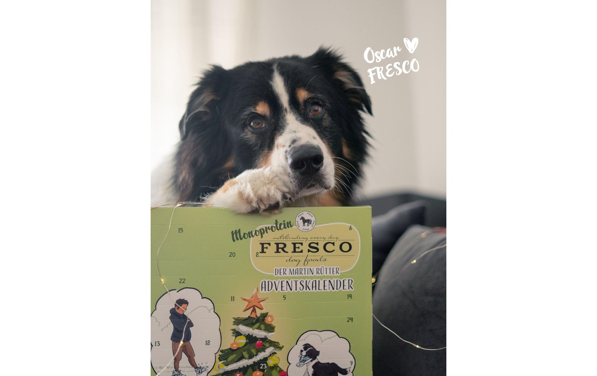 Fresco Adventskalender Mono – Pferd – 180 g