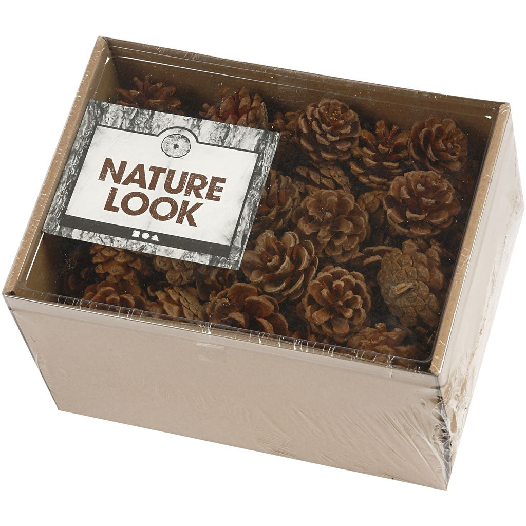 Creativ Company Tannenzapfen, Kiefer, Braun, Ø 4 cm, 500 g, 60 Stk., 50226