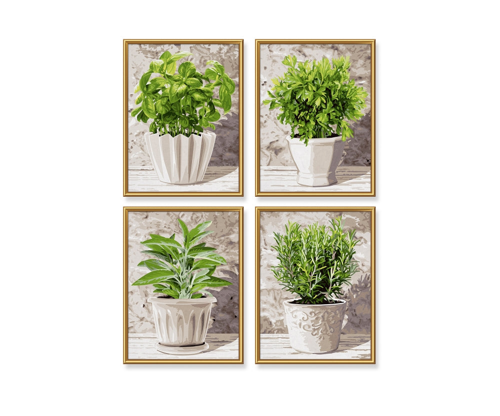 Schipper Malen-nach-Zahlen-Set – Küchenkräuter – 4-teilig, je 18 × 24 cm – ab 8 Jahren