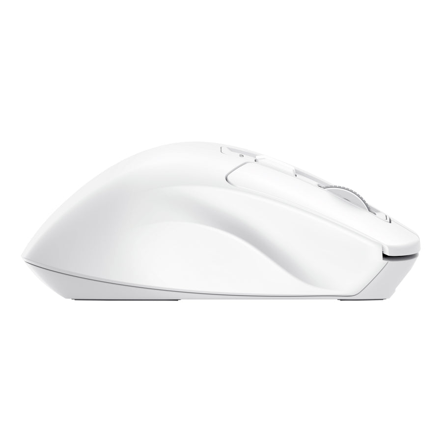 Trust Niven – Maus – Kabellos (Bluetooth/2,4 GHz), 3200 DPI, rechts, Weiss