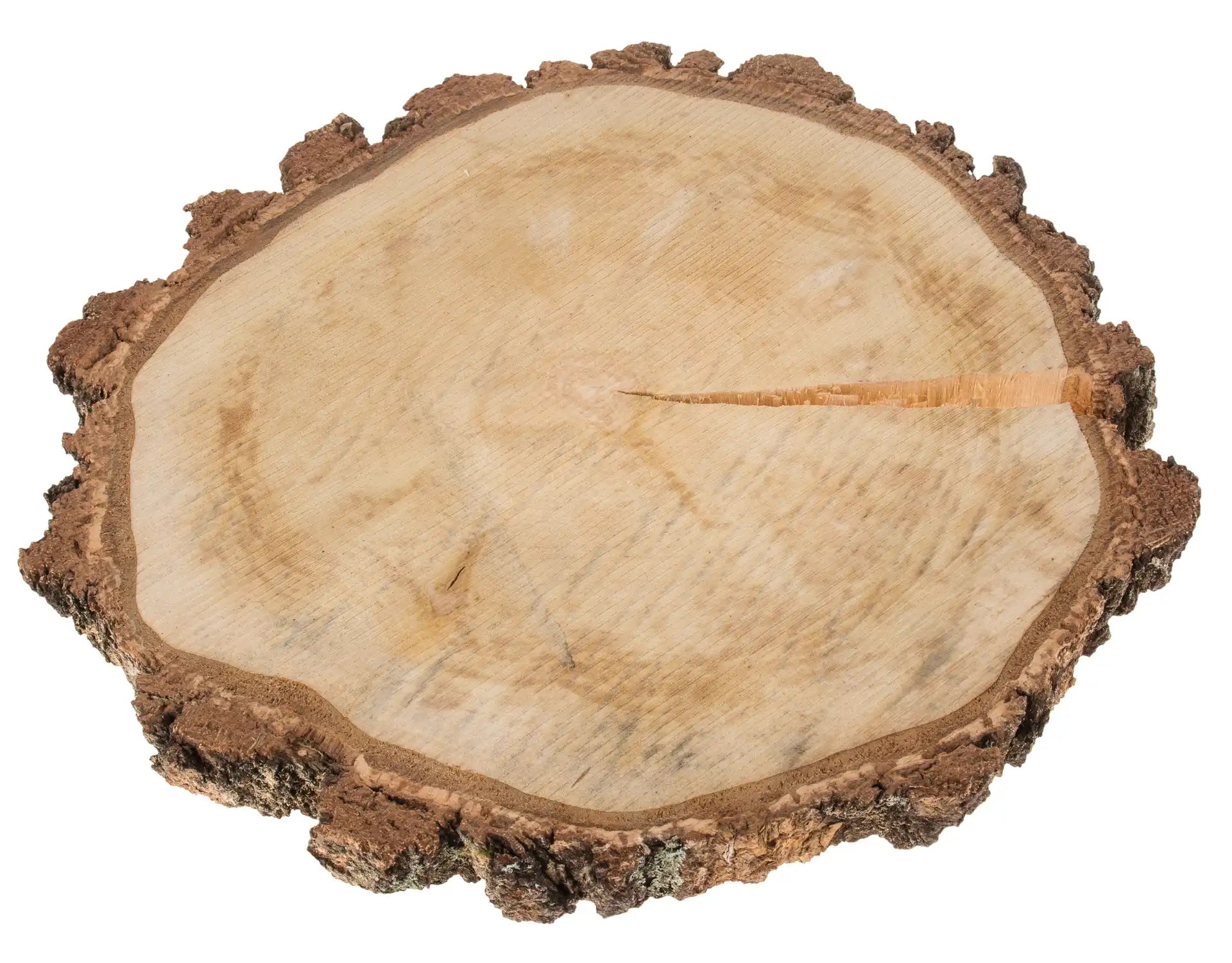 Opiflor Holzrohling, Birke, Natur, Ø 40 cm × 4 cm, 1 Stk.