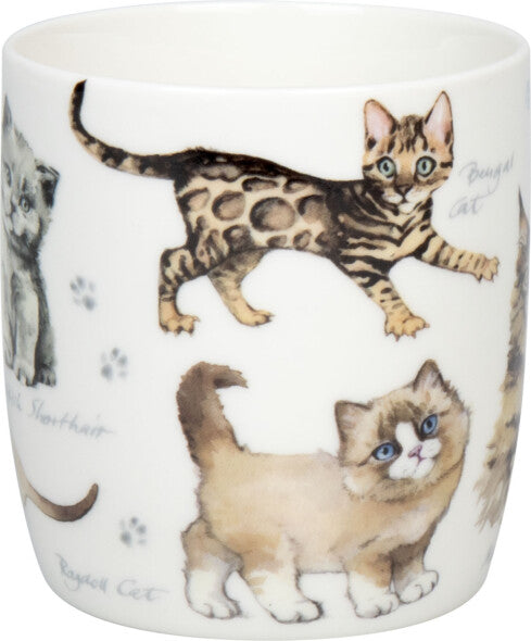 Könitz Porzellan Könitz Becher Natures Diversity-Katzen – 400 ml, Ø 8,7 cm, H 9,2 cm, Knochenporzellan, Mehrfarbig