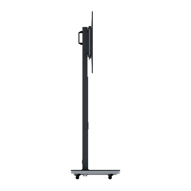 Hagor TV-Wagen – 46–65" – VESA 200×200–800×600 – bis 80 kg, Höhenverstellbar, mit Rollen – Pro-Tower M