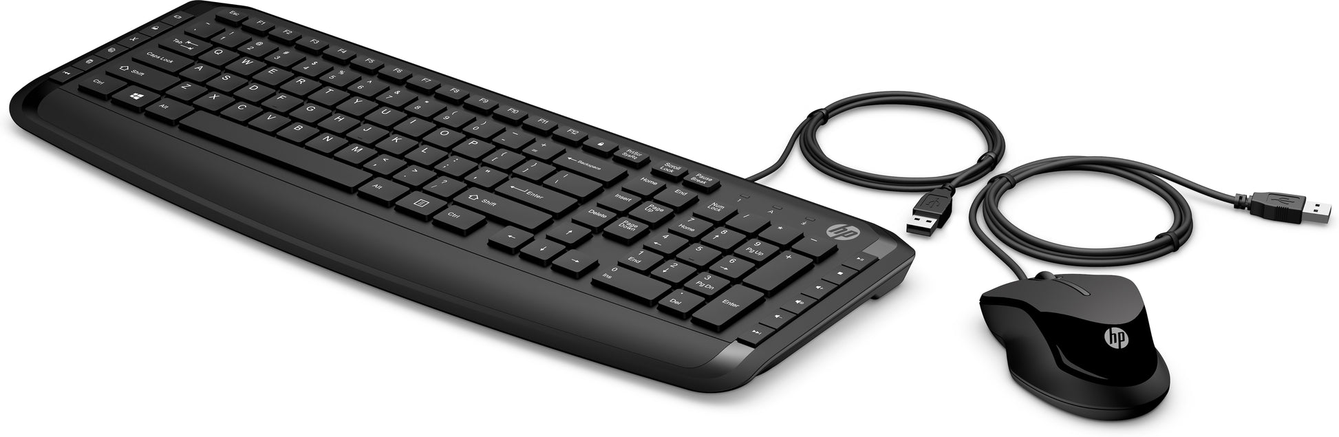 HP Tastatur- und Maus-Set – 100% – kabelgebunden – USB – Schwarz