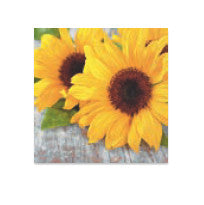 Stewo Servietten Isadora – mehrfarbig – 33 × 33 cm, 3-lagig – 20 Stück