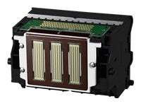 Canon Druckkopf
