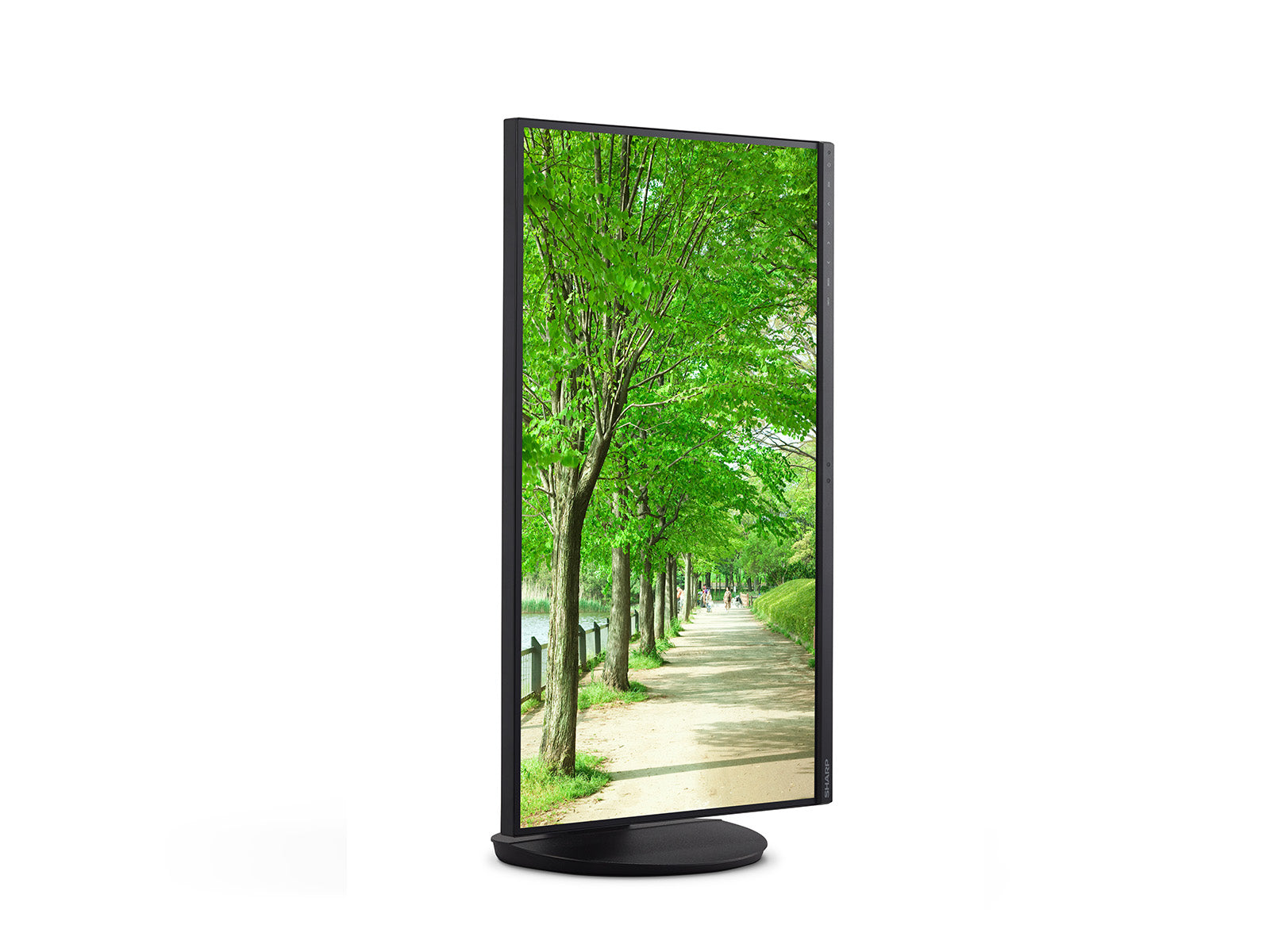 Sharp MultiSync EA272Q – 27", 2560 × 1440 (WQHD), IPS, USB-C 90 W, LAN