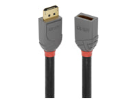 Lindy DisplayPort 1.4 Verlängerung – 3 m, grau