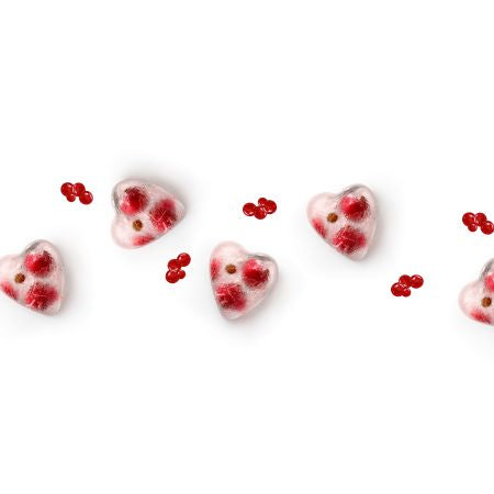 Lékué Eiswürfelform – 23 × 12 × 3 cm, Kunststoff (SBS), Rot, 14 Eiswürfel, mit Deckel