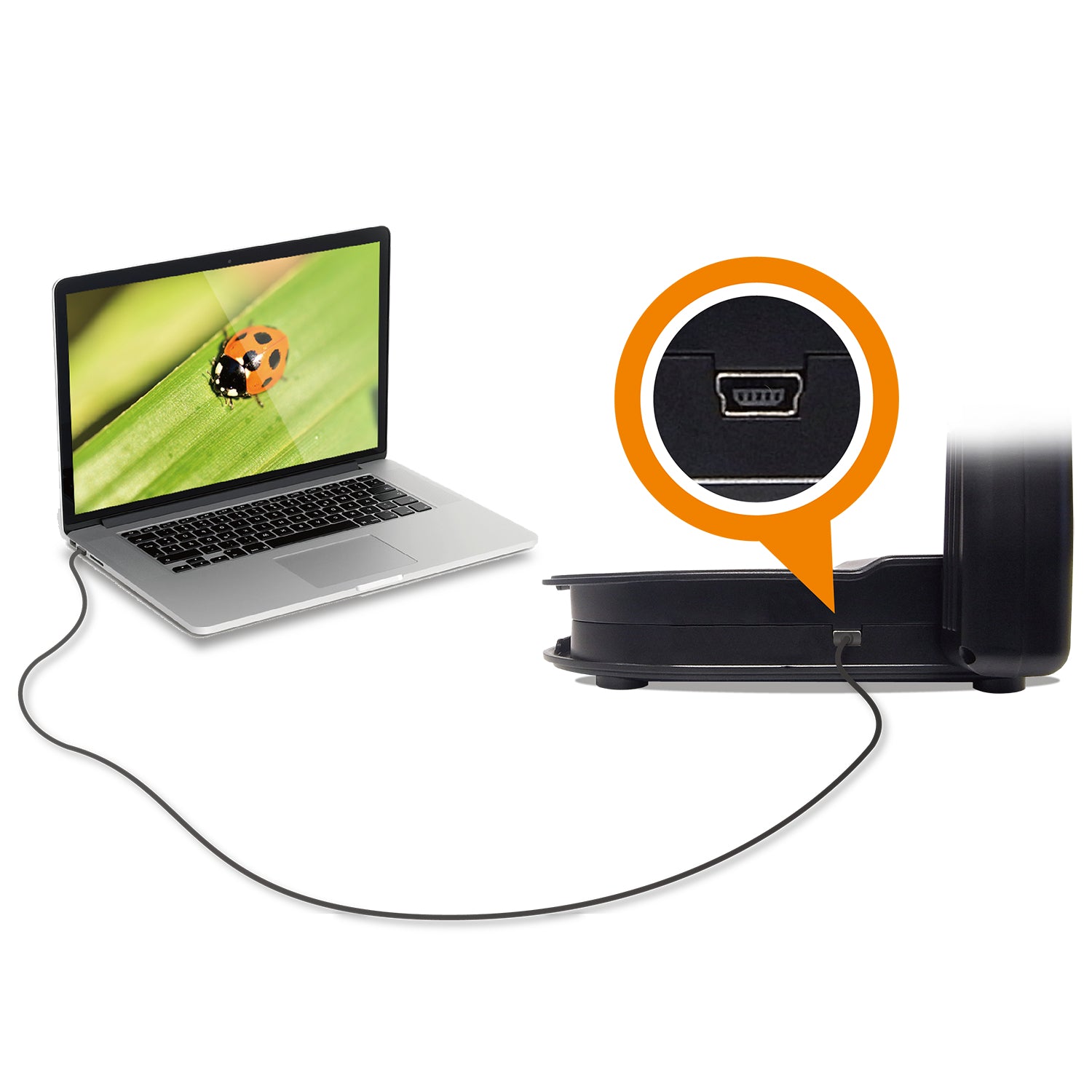 AVer U50PLUS – Visualizer/Dokumentenkamera, 4K60, 16× optischer Zoom, 420×315 mm, USB, schwarz