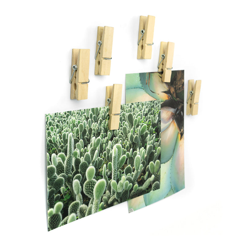 Trendform WOODY KLIP Magnetclip – 45 × 10 × 10 mm – 6 Stück, Holz, Braun