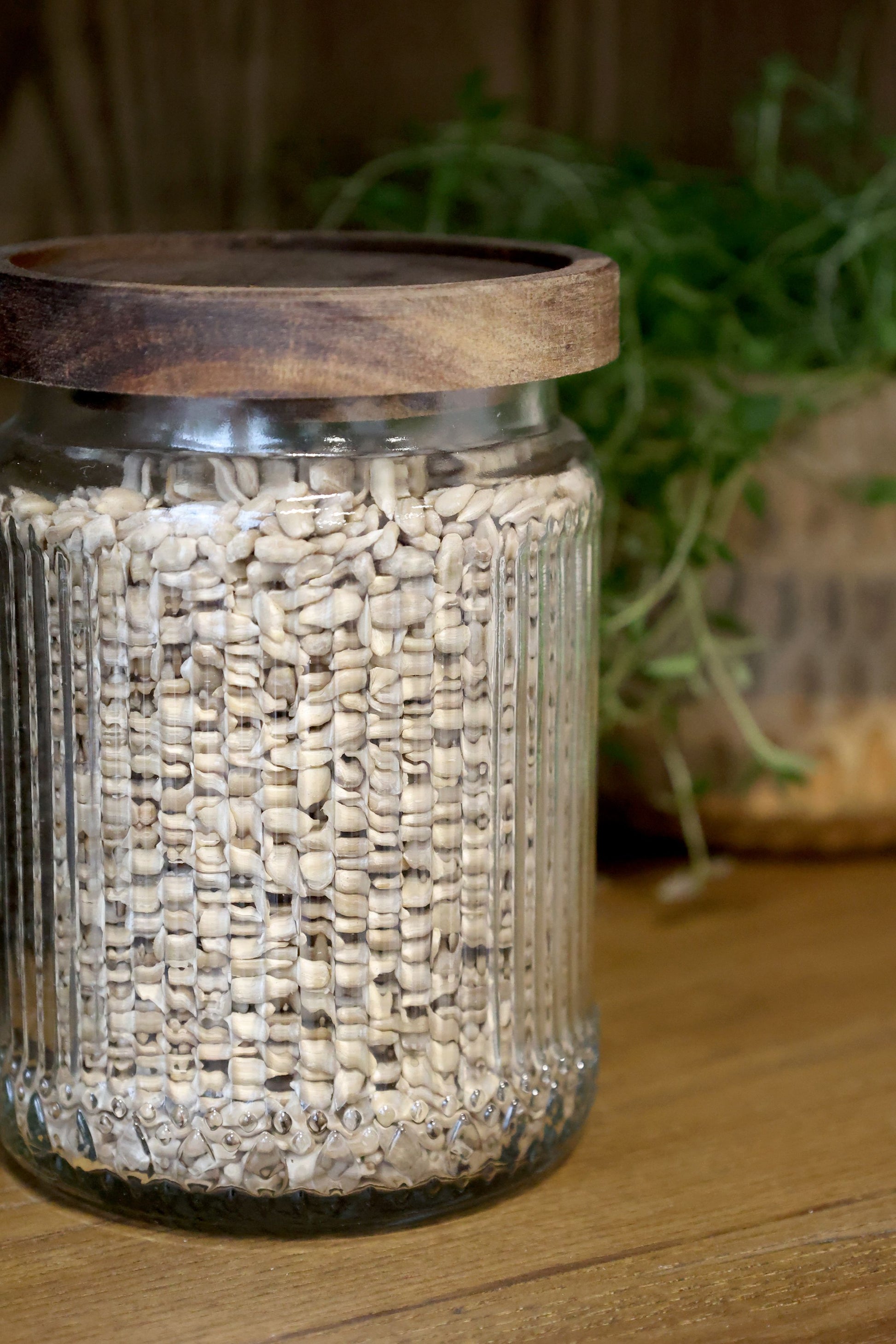 Chic Antique Vorratsdose 700 ml, Ø 10 × 14 cm, Glas/Akazienholz/Silikon, Transparent/Holz