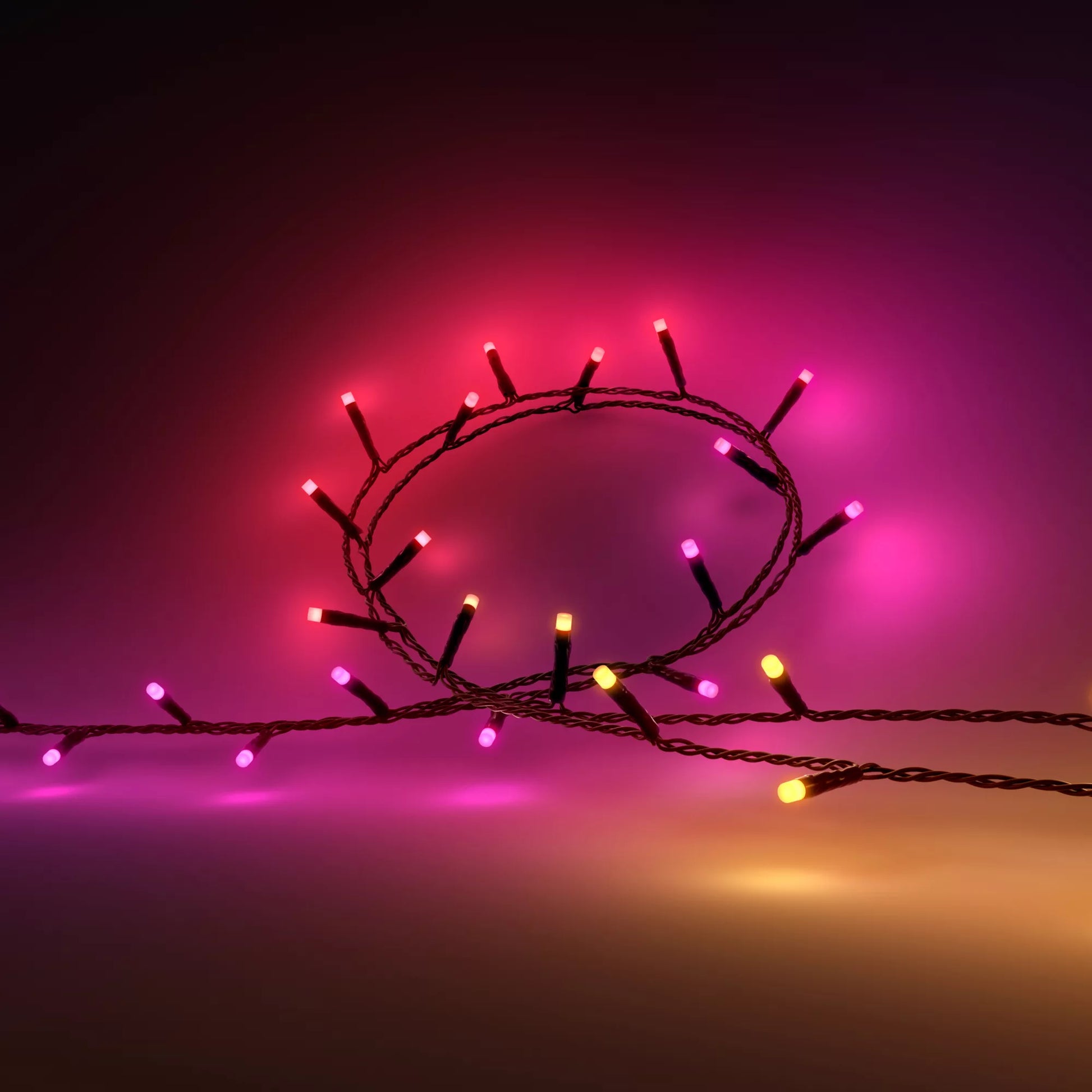 Philips by Signify Philips Hue Lichterkette – Bluetooth, für Alexa, Google, HomeKit, 250 LEDs, dimmbar, Schwarz, Synthetik