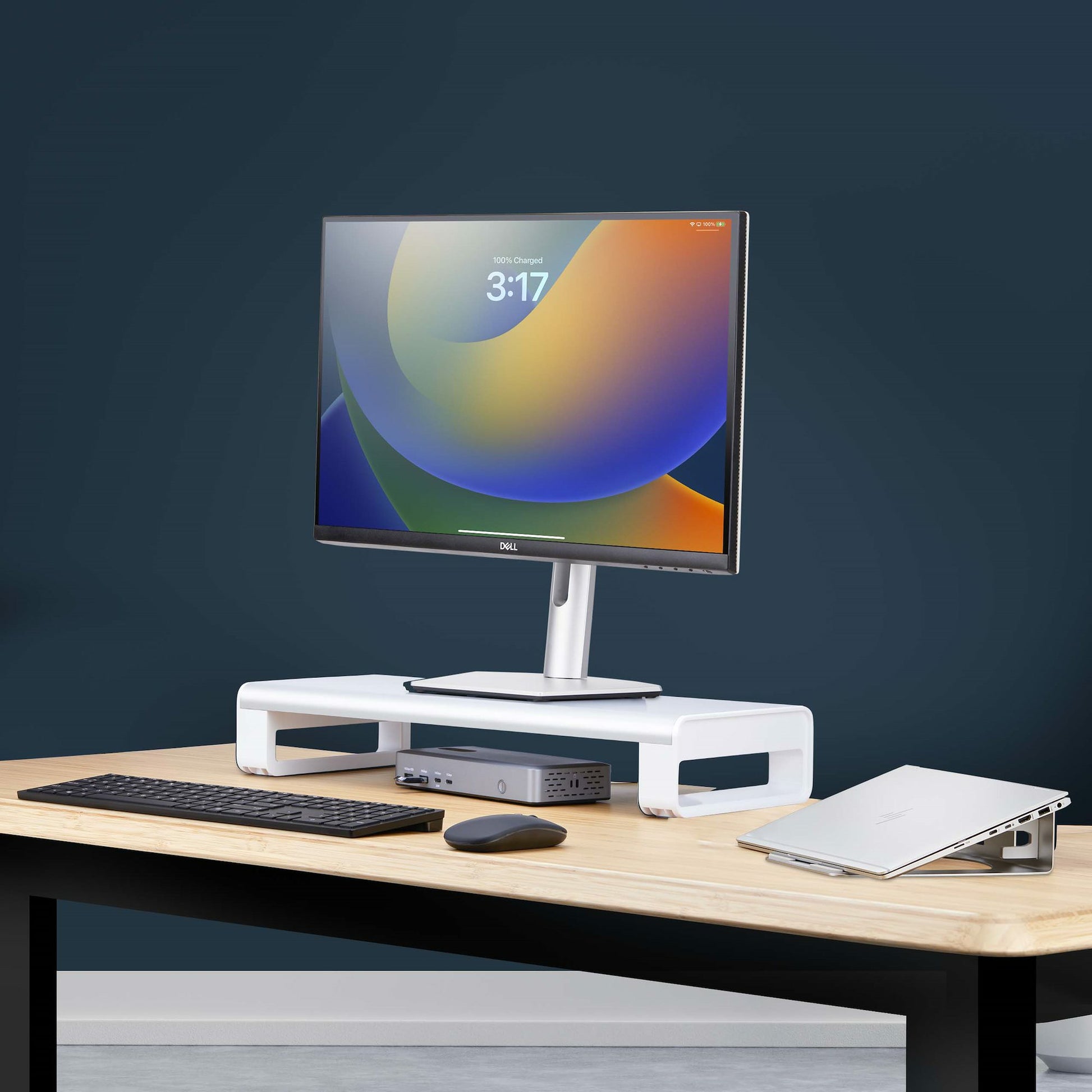 StarTech.com Monitorhalterung