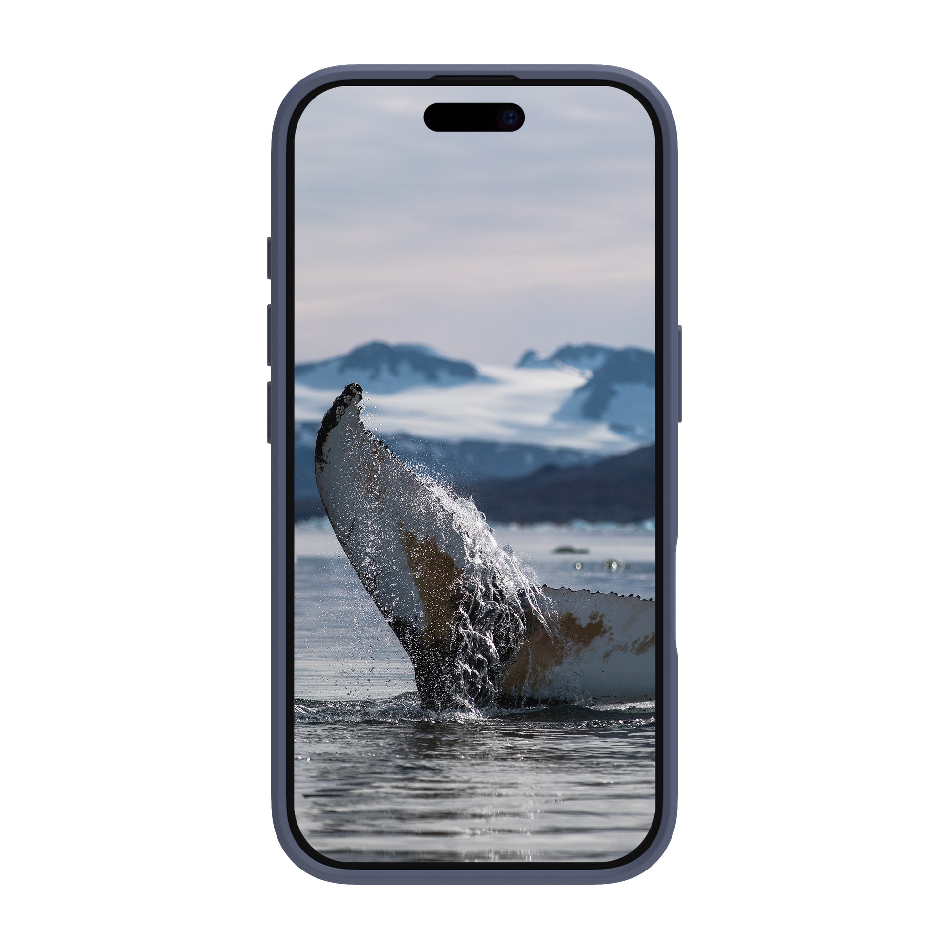 dbramante1928 Greenland – Backcover – für Apple iPhone 16 Pro Max, Kunststoff, Pacific Blue