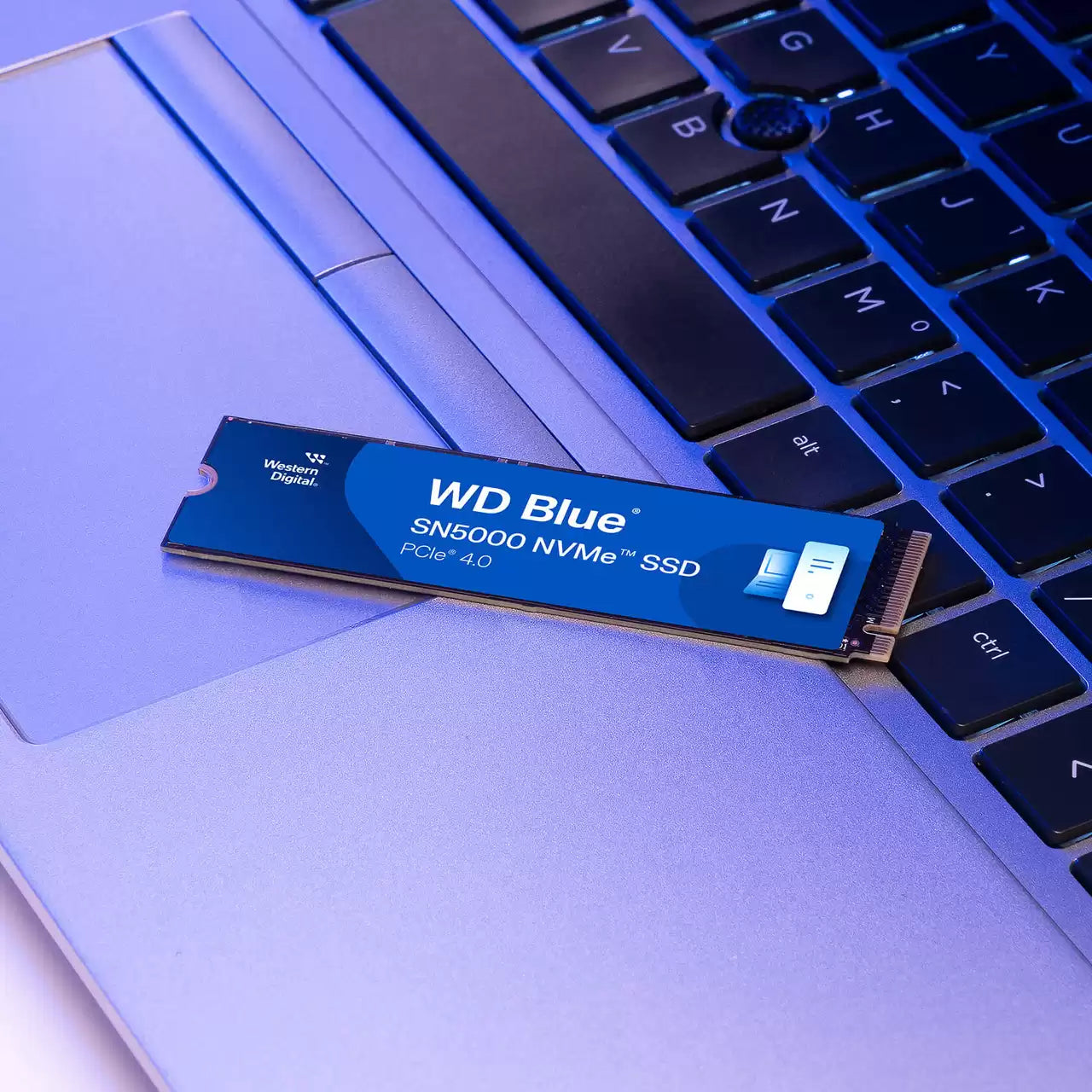 Western Digital Blue SN5000 500 GB – M.2 2280, PCIe 4.0 NVMe, 5000/4000 MB/s