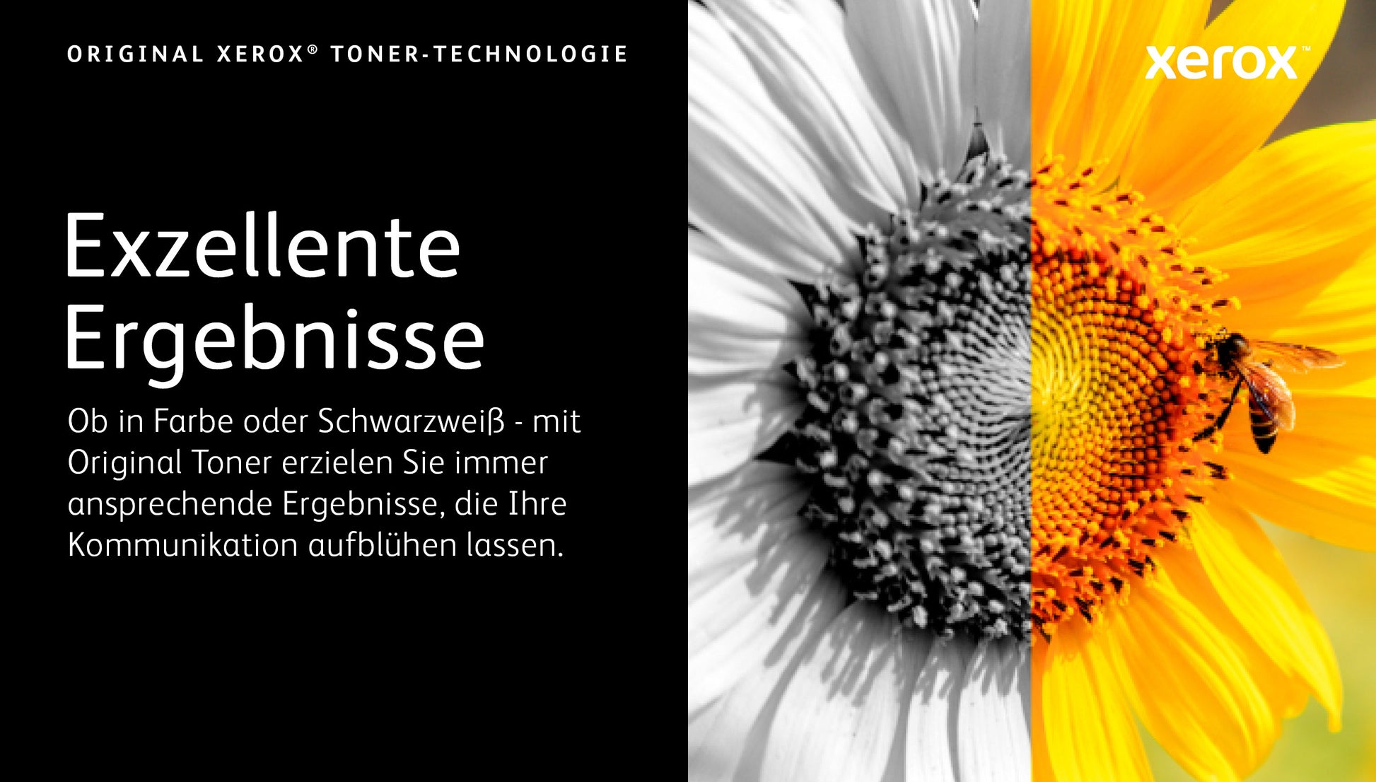 Xerox Toner – cyan, 2000 Seiten