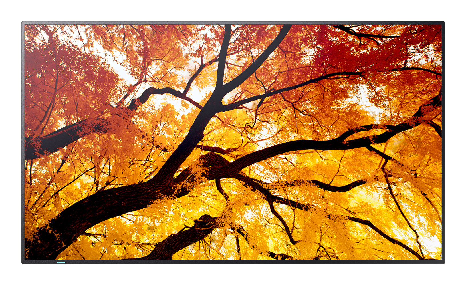 Sharp MultiSync M862 – 86", 3840 × 2160 (4K), IPS, LAN, HDR