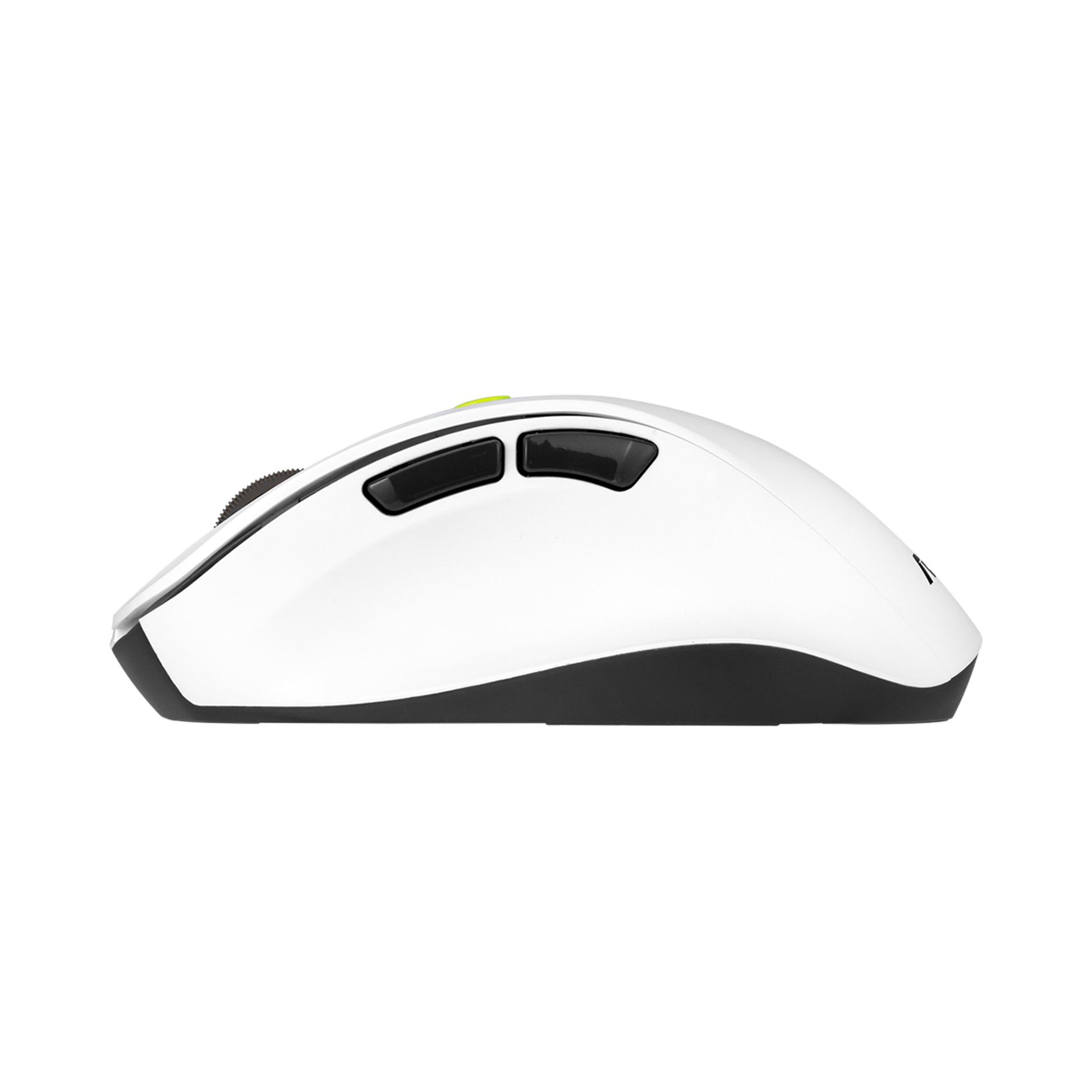 ASUS MD105 VT-GN – Maus – Kabellos (Bluetooth/2,4 GHz), 2400 DPI, Rechts, Weiss, Grün