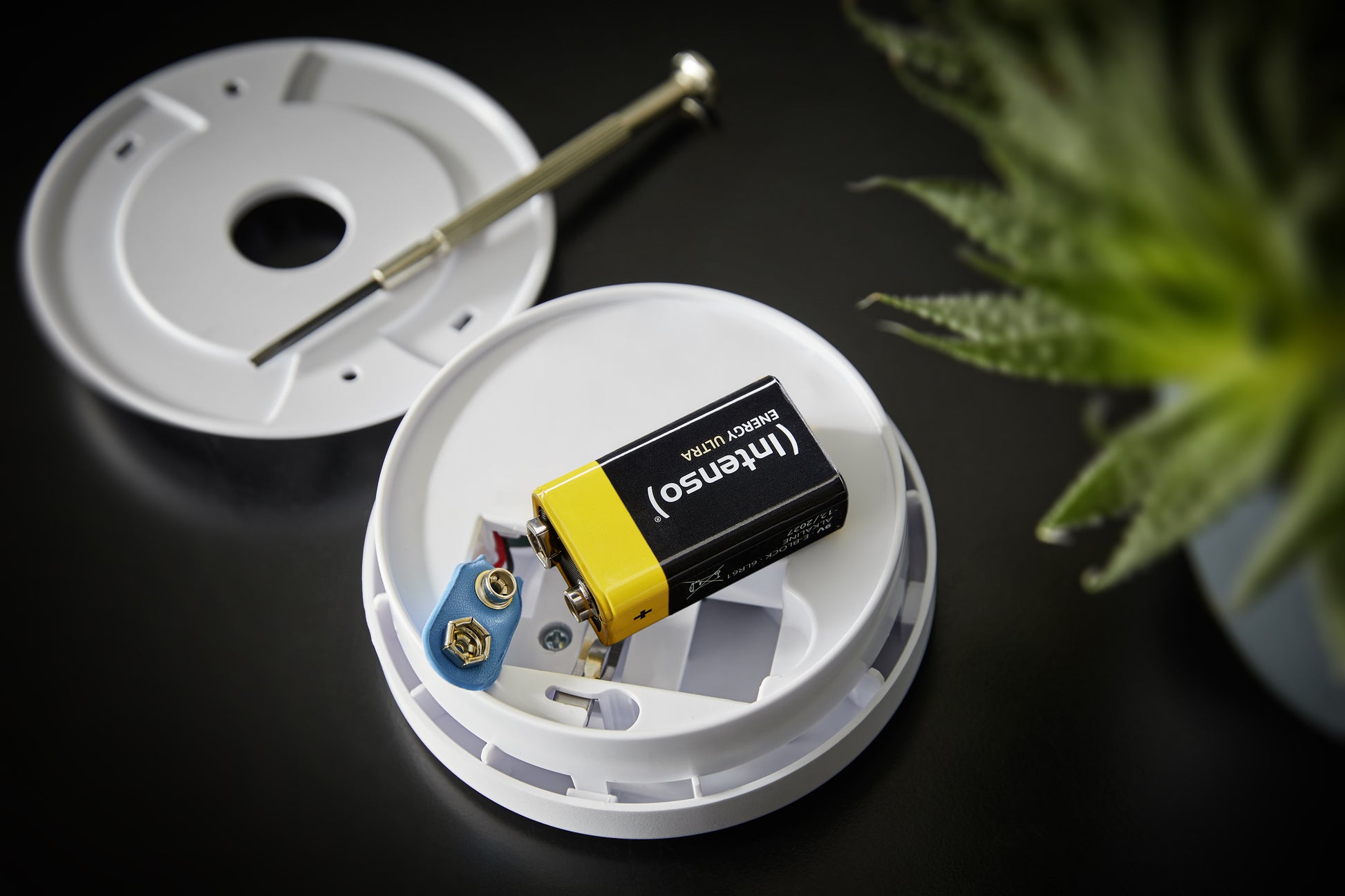 Intenso 9V Batterien, Alkaline – 4 Stk.
