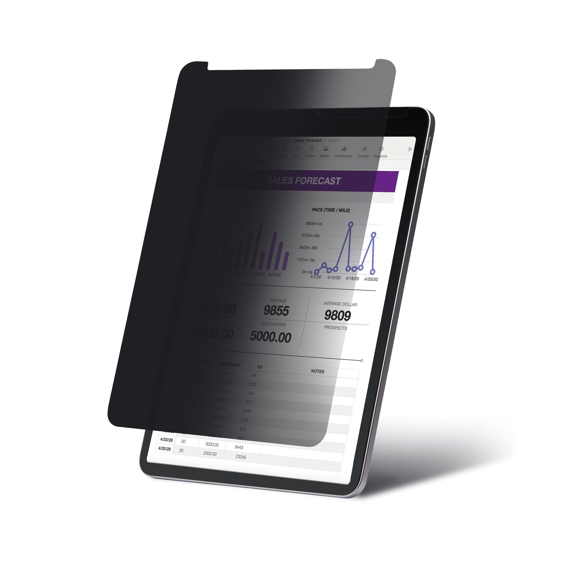 StarTech.com 11IP Sichtschutz-Zubehörtasche – für iPad Pro 11"