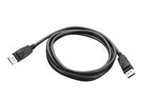 Lenovo DisplayPort-zu-DisplayPort-Kabel – 1,8 m, schwarz