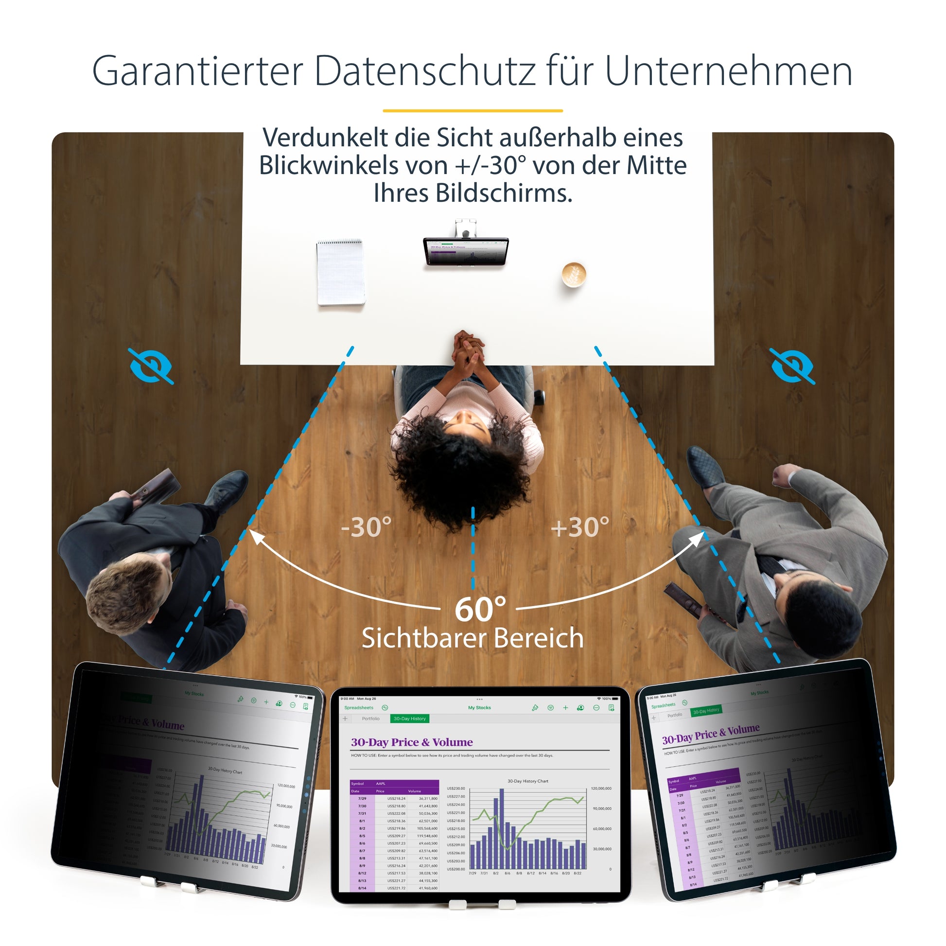 StarTech.com 11IP Sichtschutz-Zubehörtasche – für iPad Pro 11"