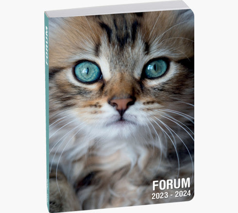 Exacompta Forum Lovely – Schulagenda 2026/27, 1 Tag/1 Seite, 12,0 × 13,2 cm, Französisch