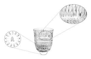 Nachtmann Trinkglas – 4er Set, 235 ml, Ø 8,3 cm, Kristallglas, Transparent, spülmaschinenfest