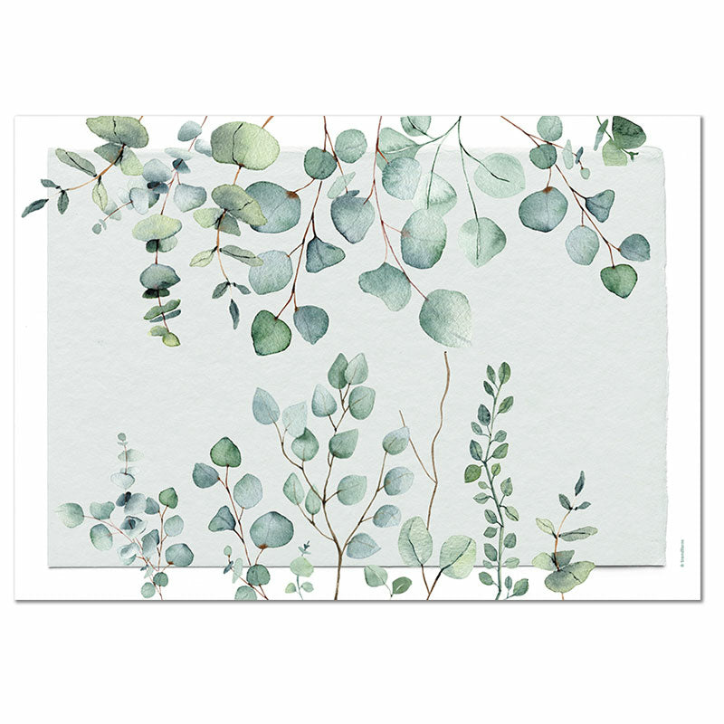 Trendform Tischset Eukalyptus, Papier, 29,7 × 42 cm – FSC – 12 Stk.
