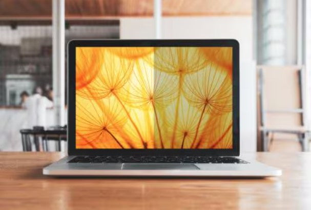 3M Displayschutz für 36,8 cm (14,5") Laptops