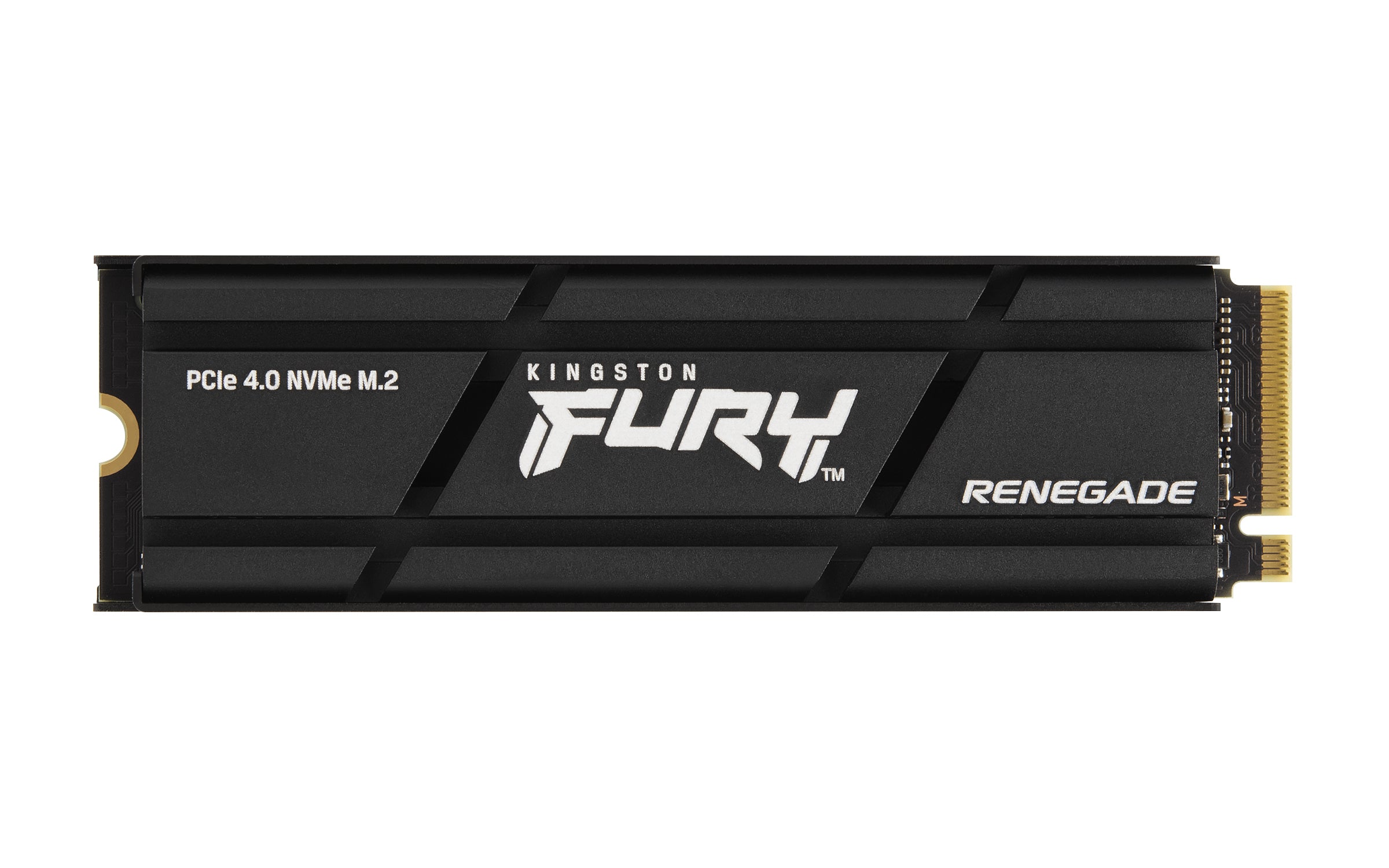 Kingston NVMe SSD – Renegade, PCIe 4.0, 1 TB