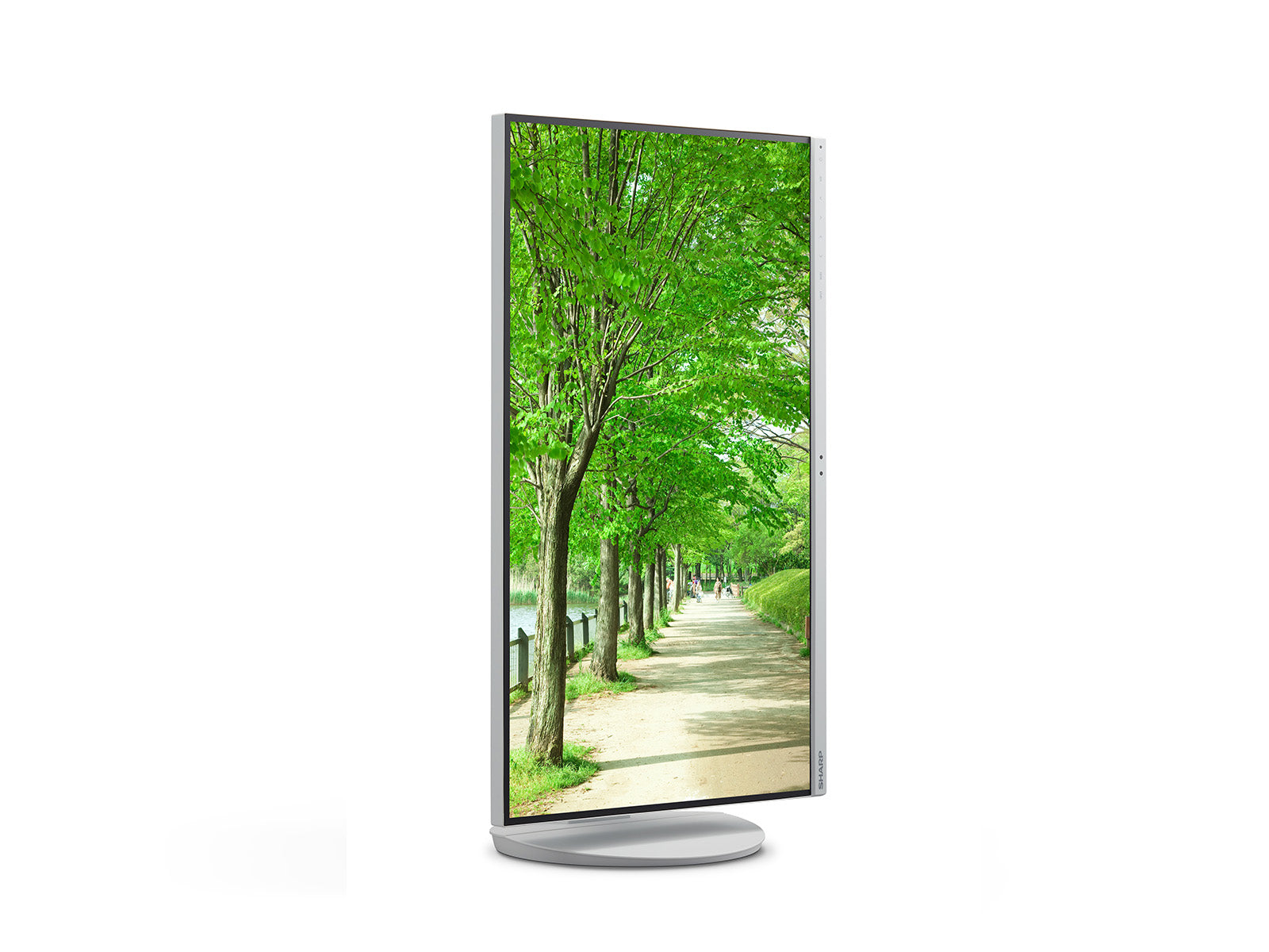 Sharp EA272QW – 27", 2560 × 1440 (WQHD), IPS, USB‑C 90 W, LAN