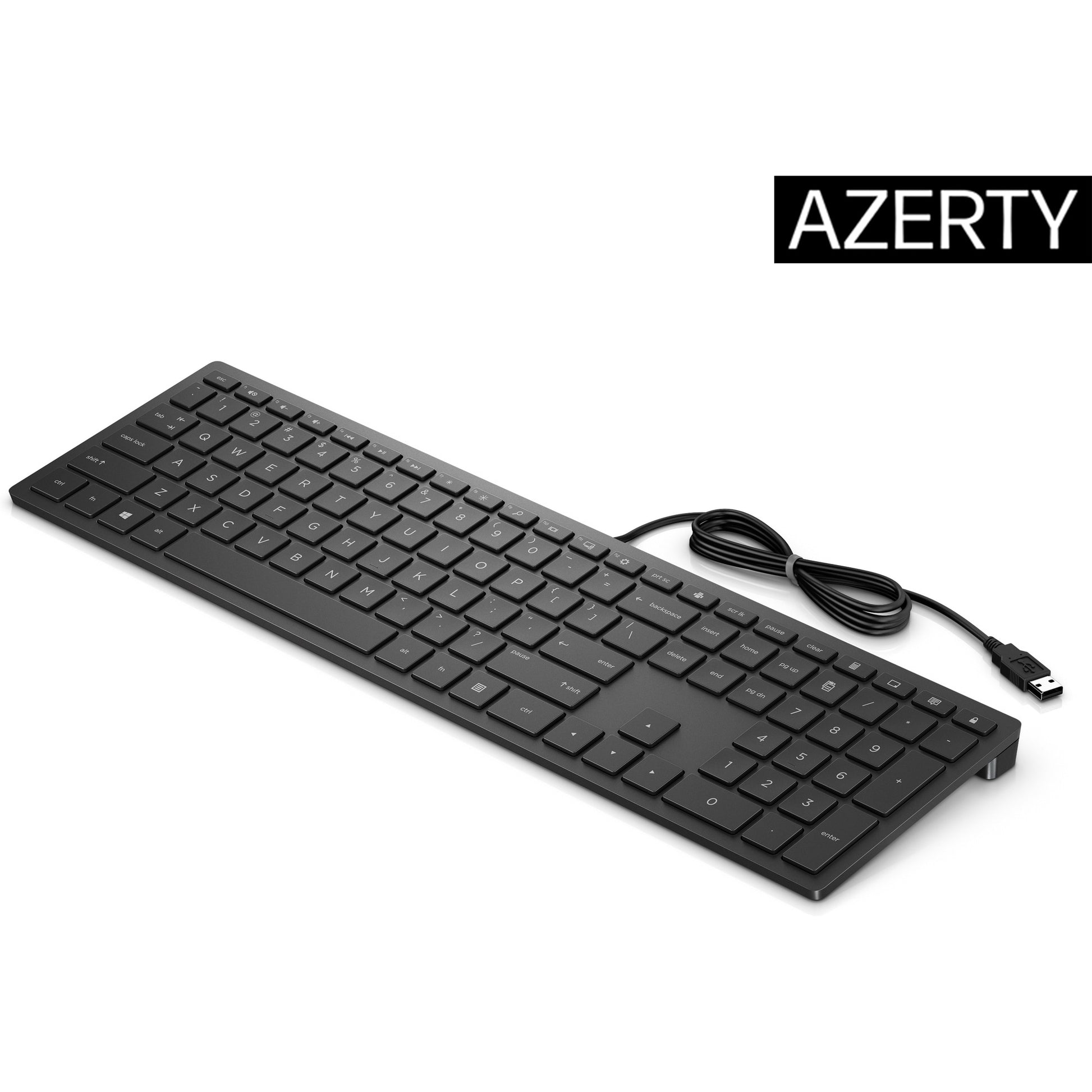HP PAV Wired Keyboard 300 – Tastatur – Mechanisch – Kabelgebunden, USB – Schwarz