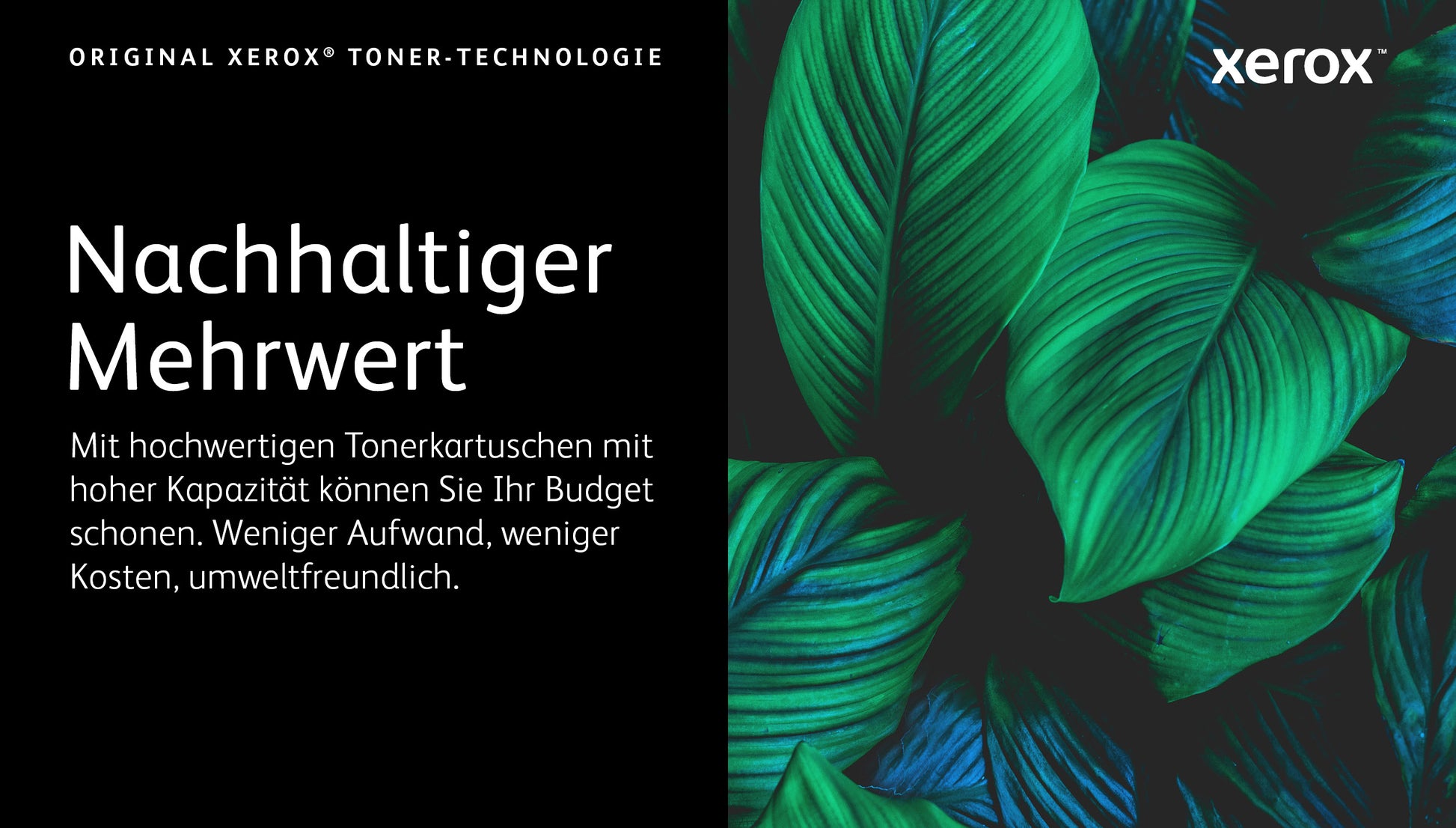 Xerox Toner 006R04619 – Gelb, 6000 Seiten – für VersaLink C625