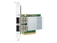 HPE E810-CQDA2 – PCIe 100GbE Netzwerkadapter – 2×QSFP28 100GbE, PCIe 4.0, für Server