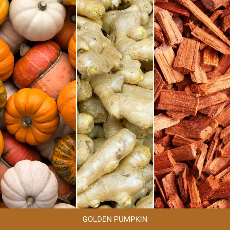 Yankee Candle Golden Pumpkin – Duftkerze, Small Tumbler, 30 h