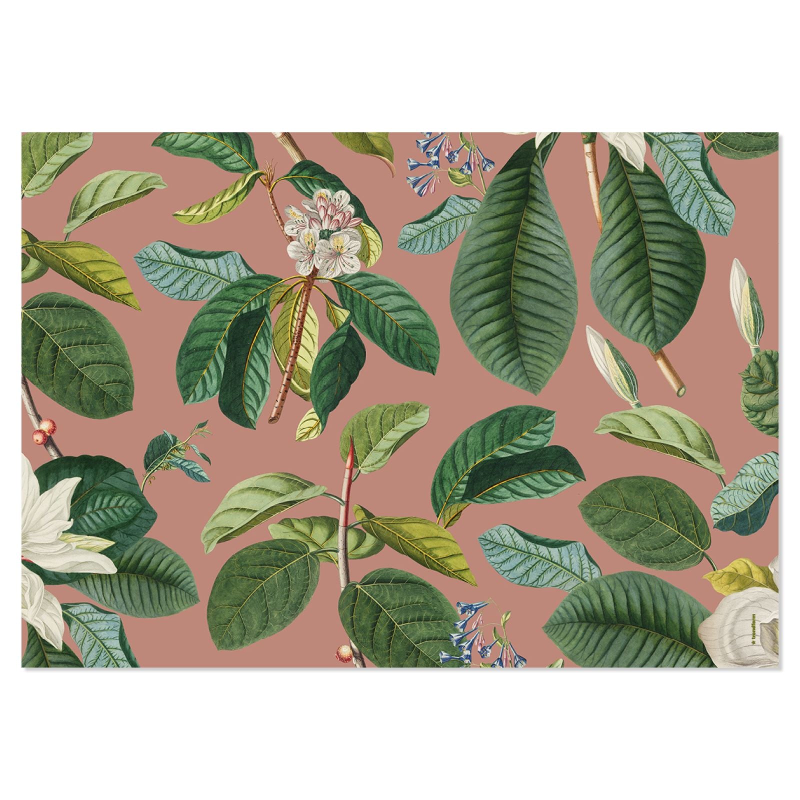 Trendform Tischset Magnolia, Papier, Rechteckig – 42 × 29,7 cm, Mehrfarbig – FSC – 48 Stk.