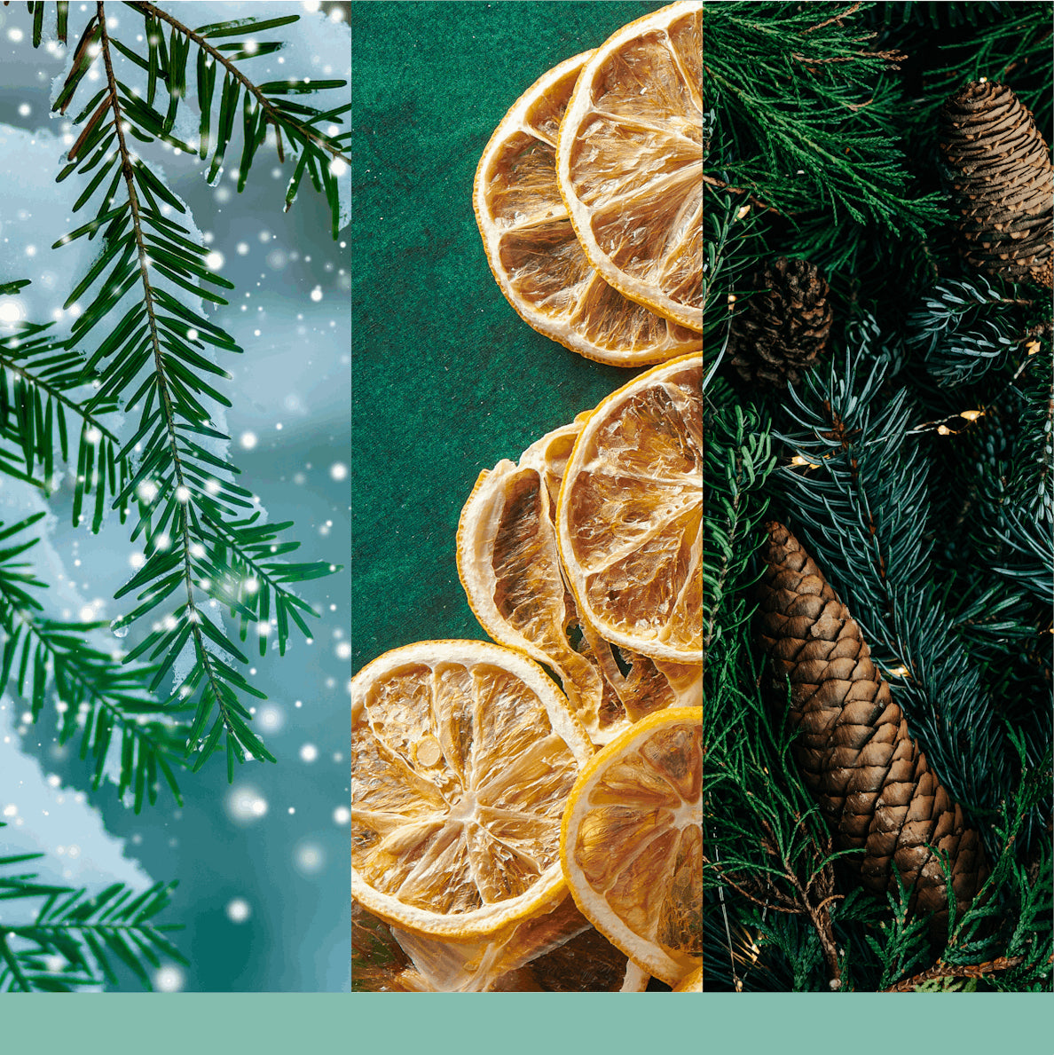 Yankee Candle Holiday Winterfest – Duftkerze, Small Tumbler, 20–30 h