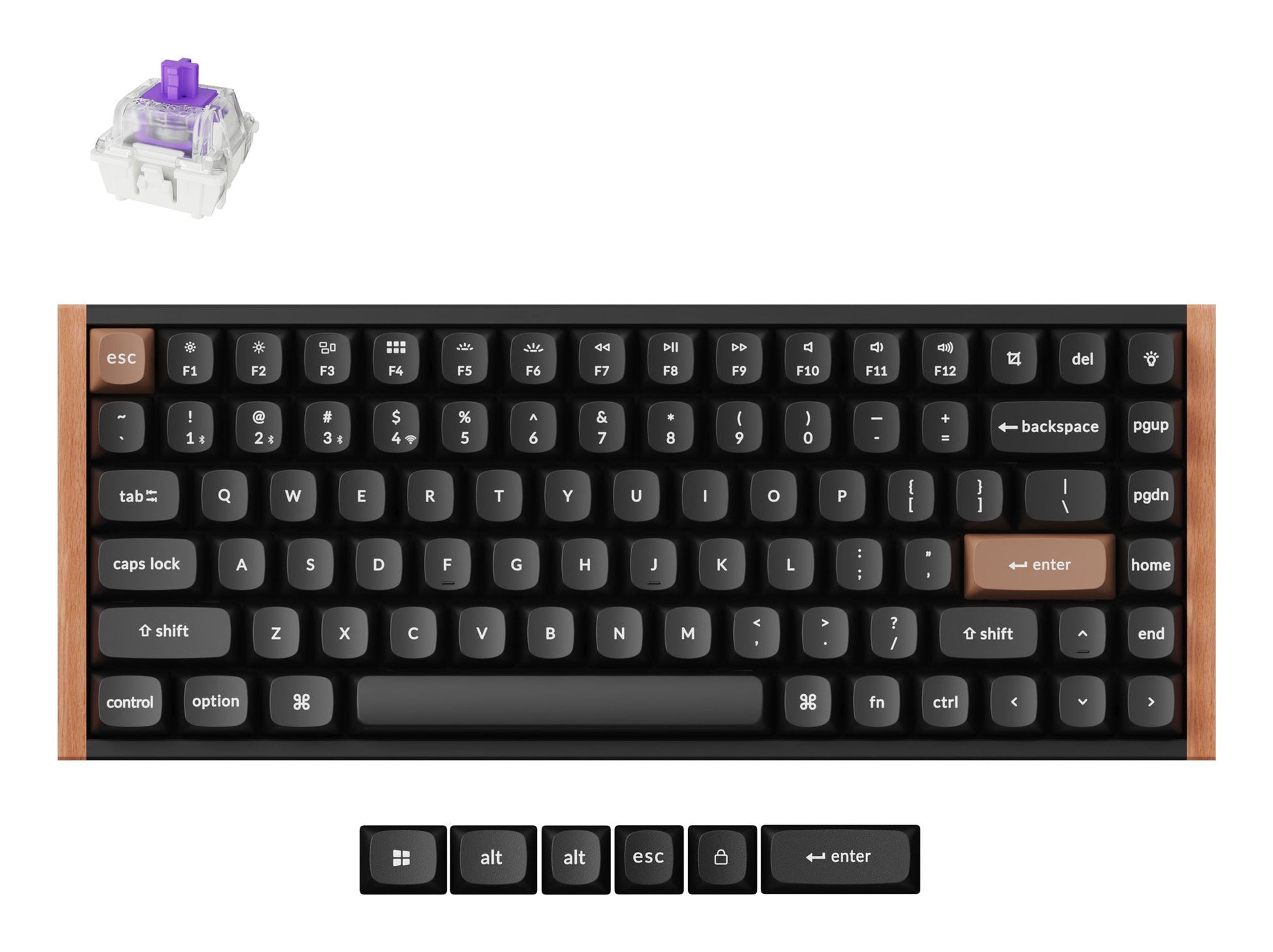 Keychron K2 HE – Tastatur 75% – Mechanisch, Magnetisch – Bluetooth & 2,4 GHz (USB-A) – QWERTZ (CH) – RGB