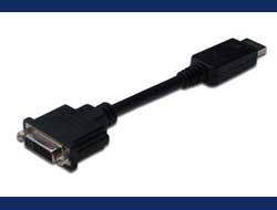 Digitus DisplayPort (Stecker) auf DVI-I (Buchse) Adapter, 15 cm