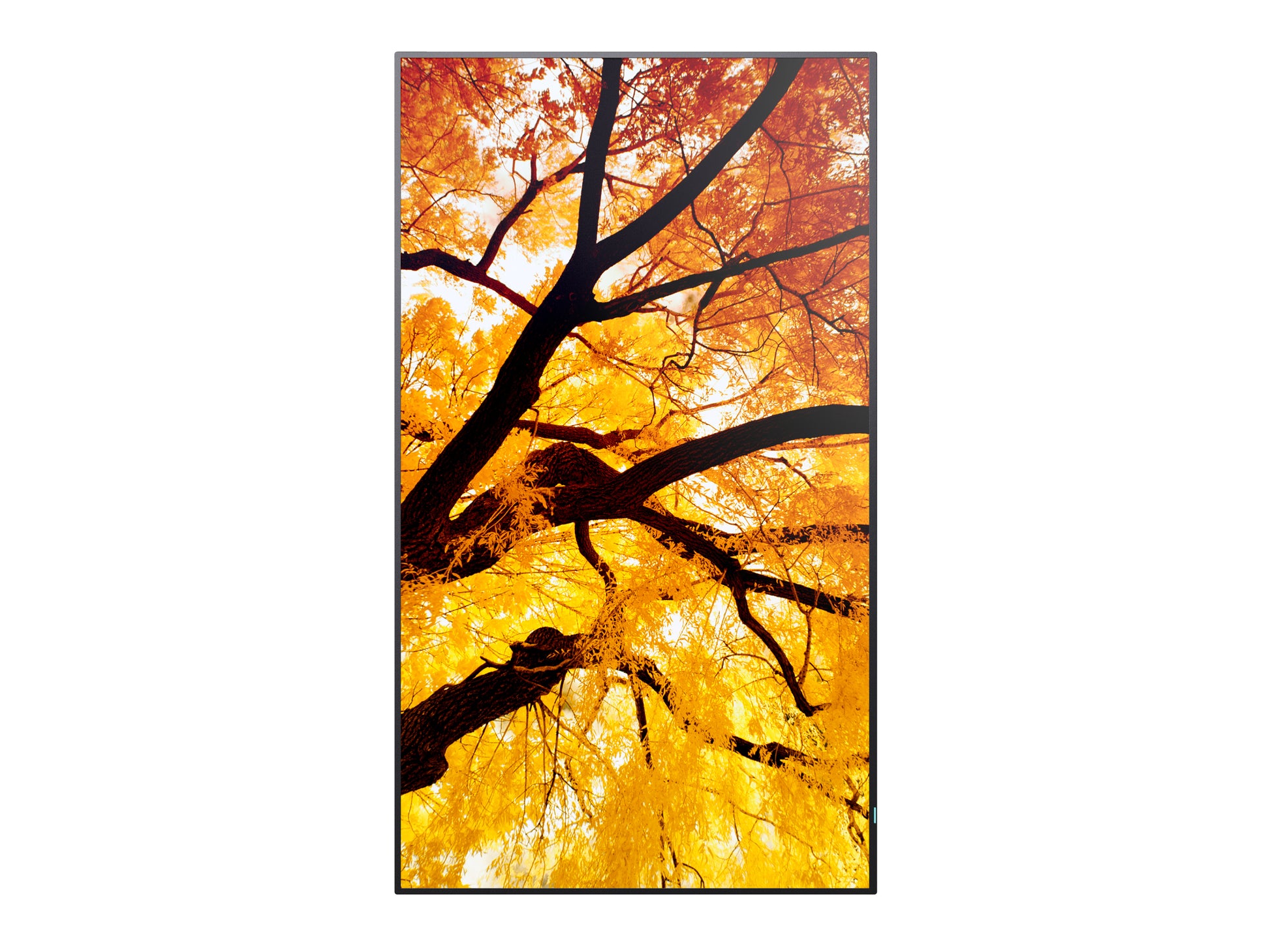 Sharp MultiSync M432 – 43" 4K Ultra HD Signage-Display, 550 cd/m², 24/7