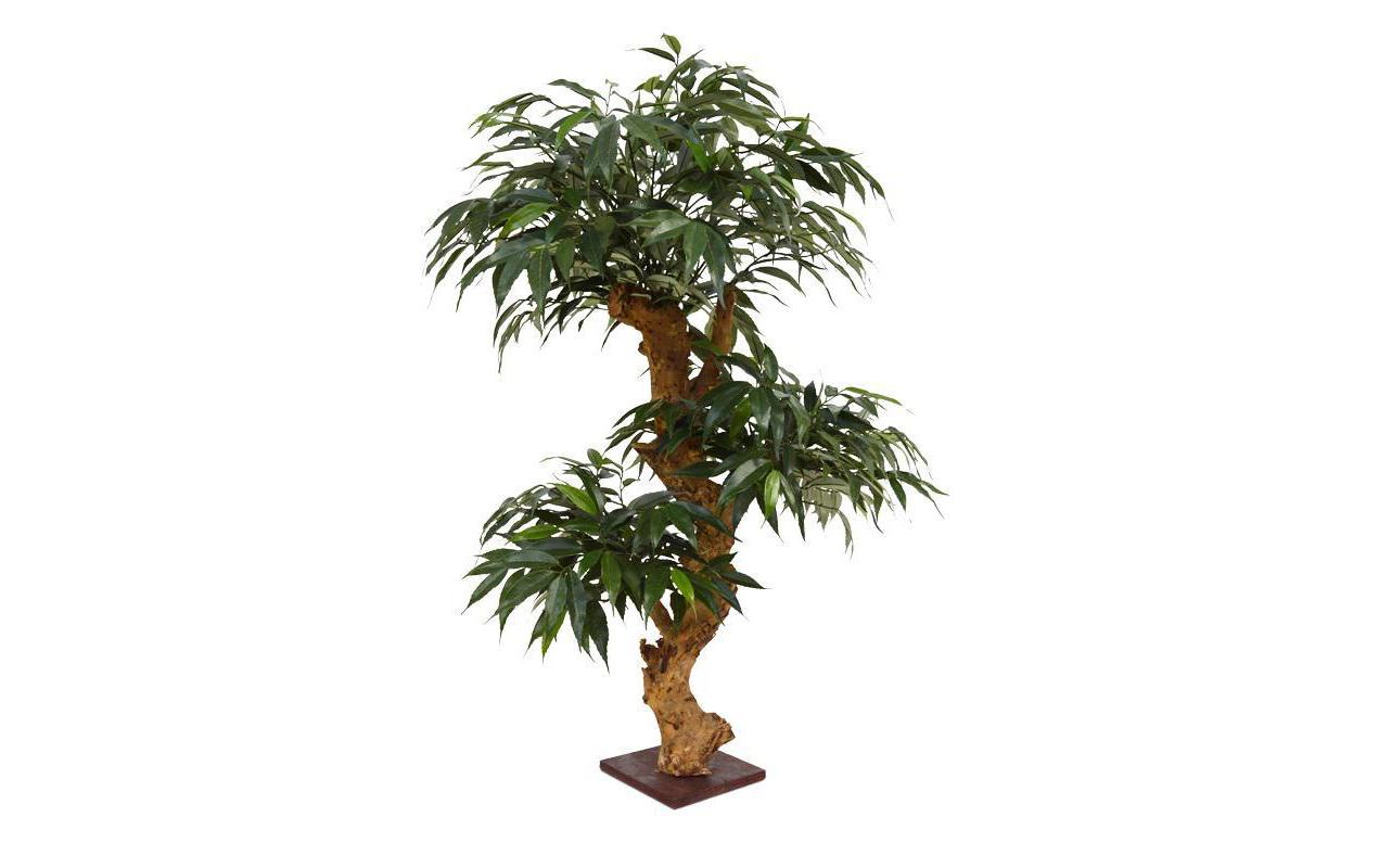 Botanic-Haus Künstlicher Baum – für den Innenbereich – 50 × 80 × 50 cm – Polyester (PES), grün
