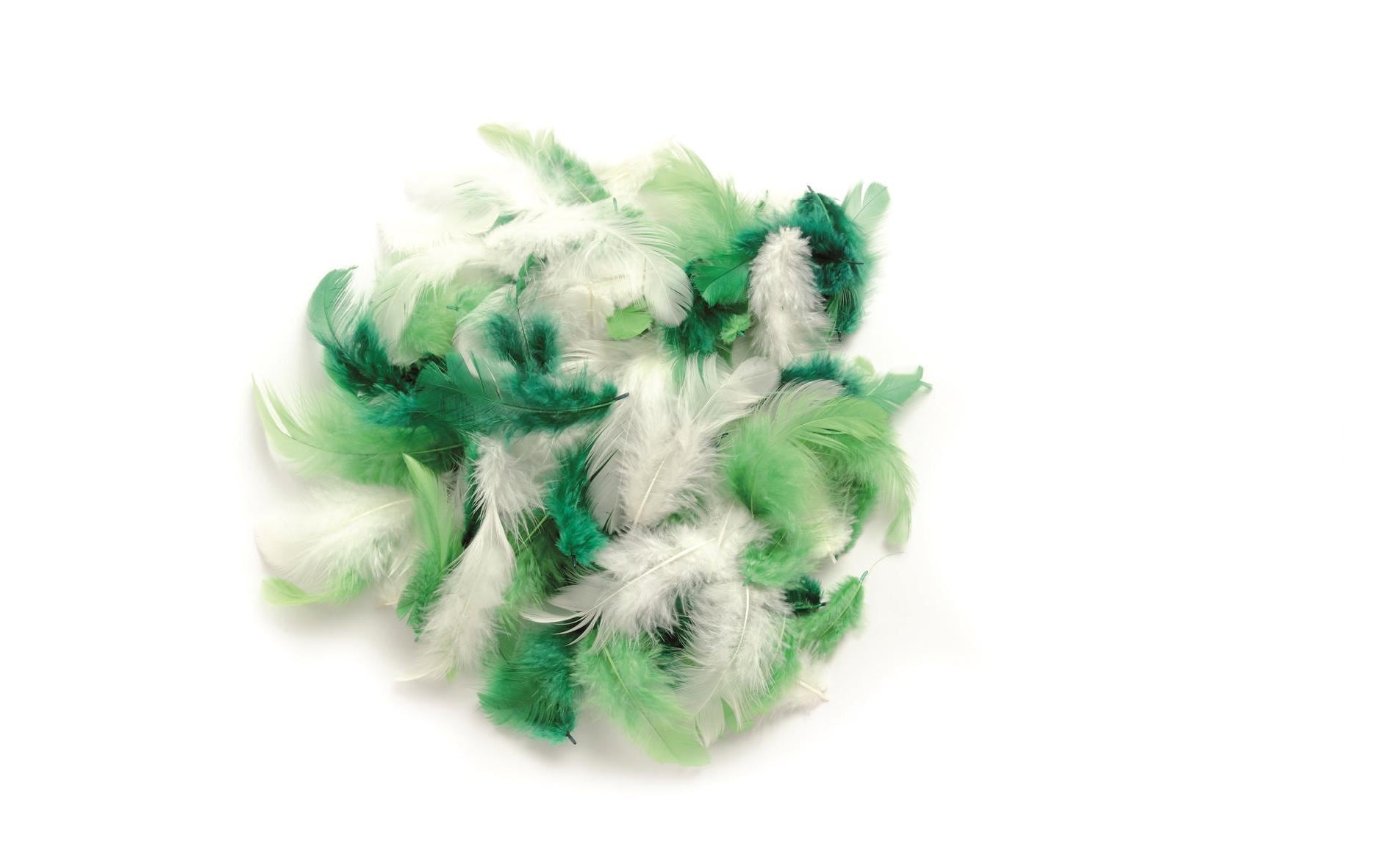 GLOREX Dekofedern, Grün, 10 g, 1 Stk., 63821025