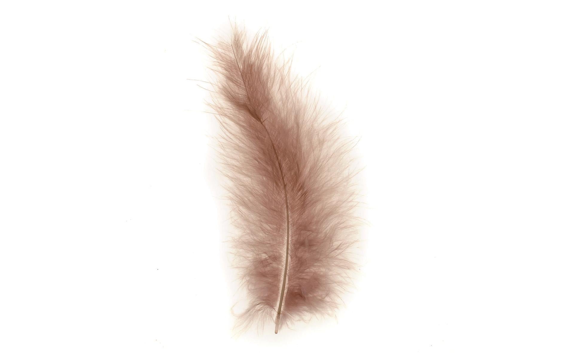 GLOREX Marabu-Federn, Braun, 2 g, 15 Stk.