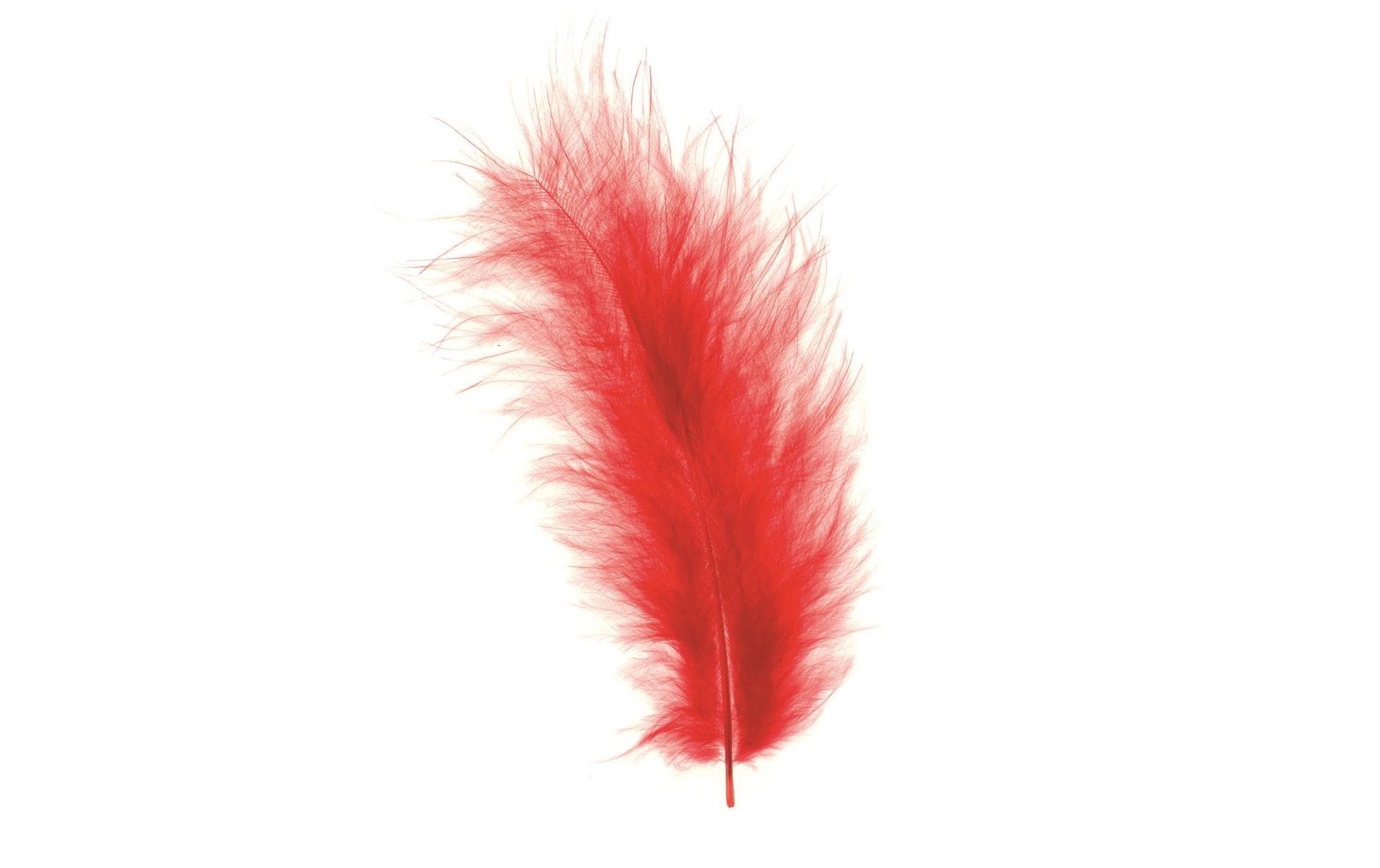 GLOREX Federn, Marabu, Rot, 2 g, 15 Stk.